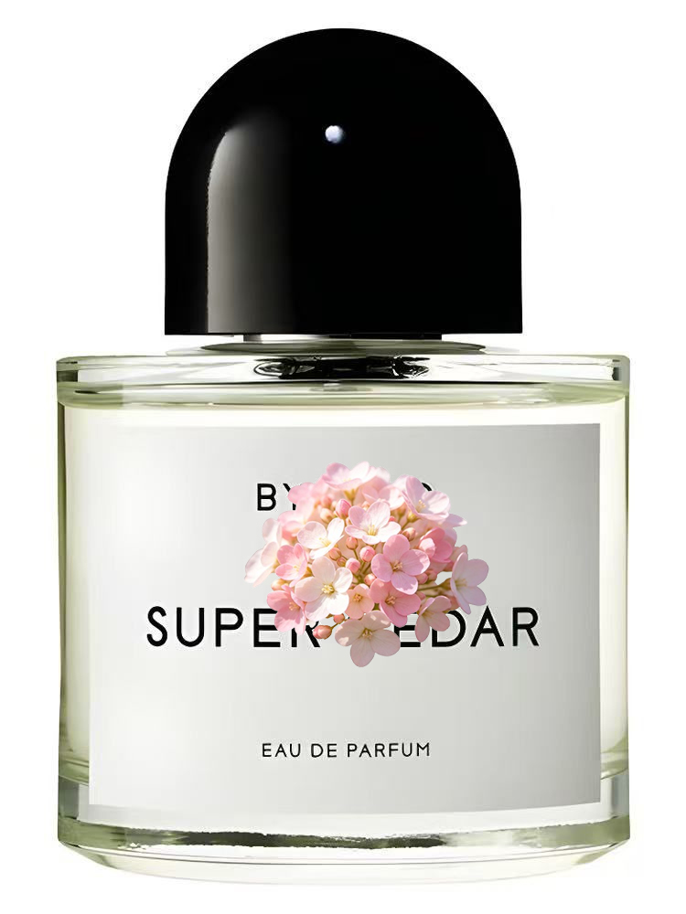 Unisex Eau de Parfum 100ml 3.4 - Perfume Floral Fragrance recensie en prijs