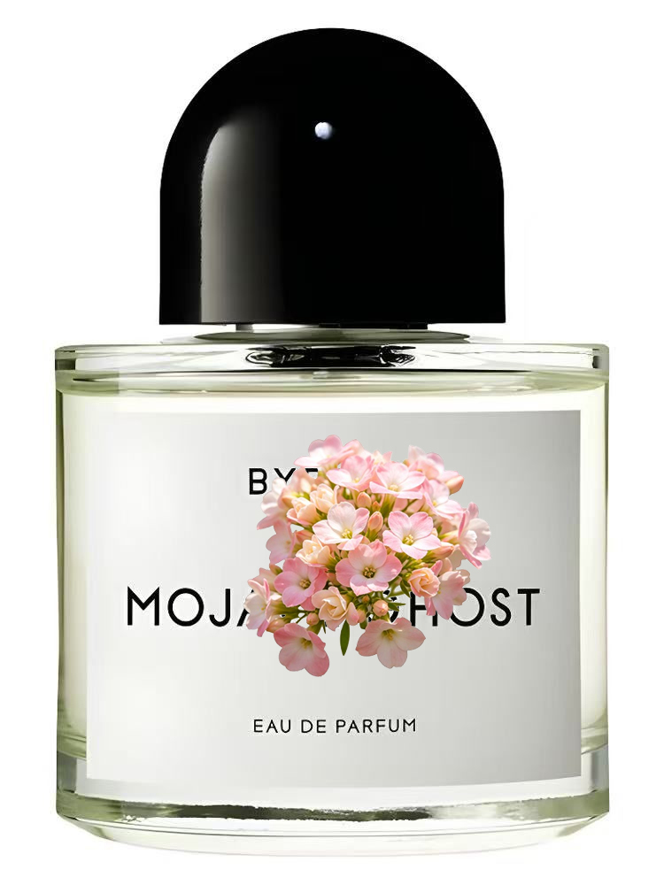 Unisex Eau de Parfum 100ml 3.4 - Perfume Floral Fragrance recensie en prijs